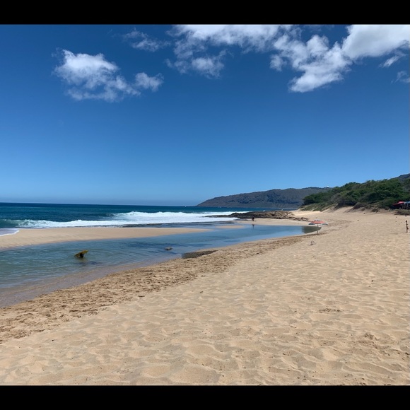 Meet your Posher, Shayla - Picture 7 of 16